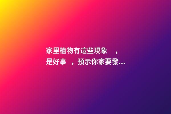 家里植物有這些現象，是好事，預示你家要發大財了！
